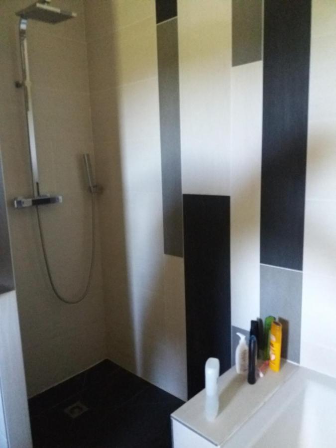 Chambres, Cuisine, Piscine, Spa, Billards, Airhockey, Nature Fillinges Dış mekan fotoğraf