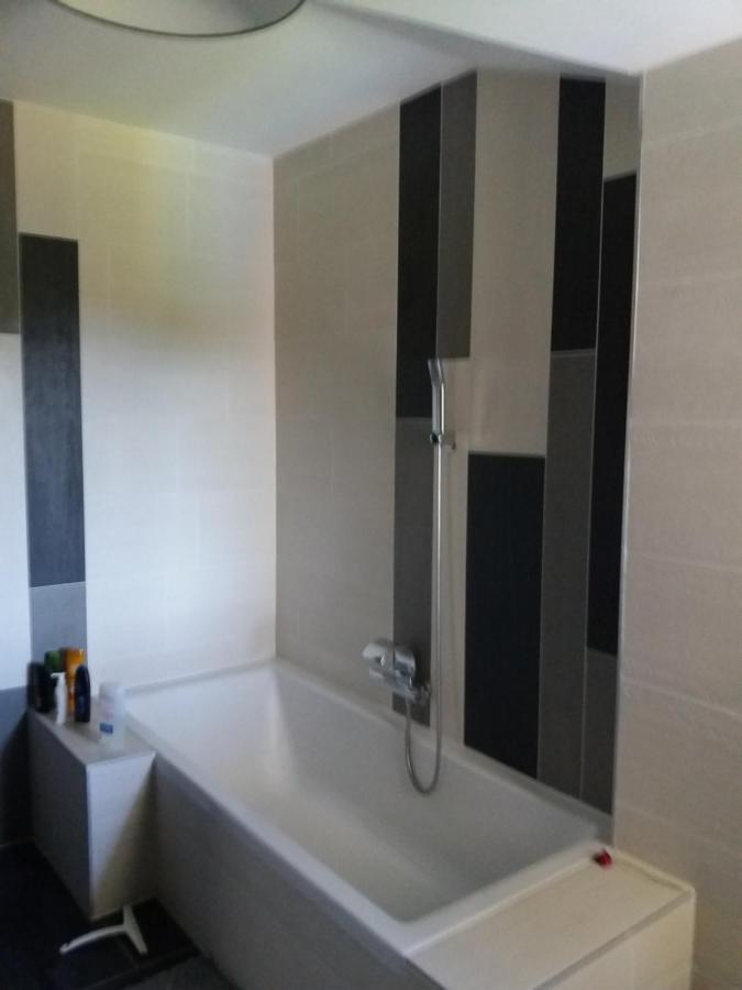 Chambres, Cuisine, Piscine, Spa, Billards, Airhockey, Nature Fillinges Dış mekan fotoğraf